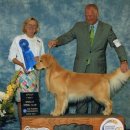 BOSS켄넬 이미지