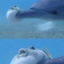 강경식당 이미지