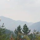 소나무카페(소나무관광농원) 이미지