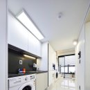 더그레이스경희 이미지