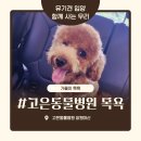 고은동물병원 이미지