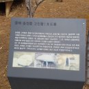 부곡지석묘 이미지