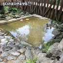 무봉체육시설 배구장 | 춘천 근교 힐링 명소, 집다리골자연휴양림 방문기 🍃