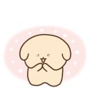 성원동물병원 이미지