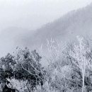 모현제일고층아파트 이미지