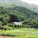 뉴스타빌딩앞 이미지