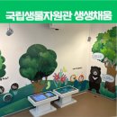 채움 | 인천 청라 검단신도시 아이와 가기좋은 실내 박물관, 국립생물자원관 생생채움 후기