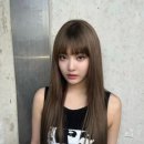 교은 이미지