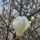 여중사거리 이미지