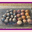 최가네민박 이미지