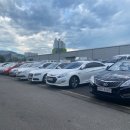 울산프로모터스 이미지