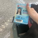 [2025 광저우 캔톤페어] 춘계 1기 후기 (호텔, 맛집, 카페 추천을 곁들인)