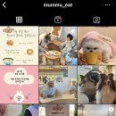 멈무eat 이미지