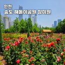 연수구 장미공원 앞 이미지