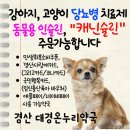 대경약국 이미지
