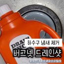 사진넷 | 하수구 냄새 제거 관리, 버그넷 드레인샷 사용 후기