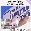 [관상어 박람회 후기]시흥 아쿠아펫렌드에서 열린 2회차 한국관상어박람회 방문기!