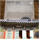 팔공산농산 | {대구시 동구} 팔공산단풍실시간현황 // 대한불교조계종 팔공산 파계사 가을풍경