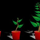 바른자세운동 이미지