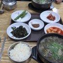 올갱이해장국 이미지