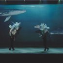 그림 속 고래가 살아 춤추다 이미지