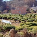 재한농장 이미지