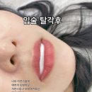 뷰티문 - 해남군 우수영로 25 | 뷰티문