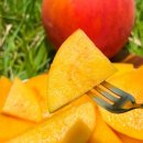 금봉 농장 이미지