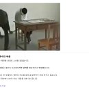 국가전복혐의로 북한에억류되어 식물인간이된 미국대학생 이미지