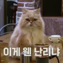내사랑민박 이미지