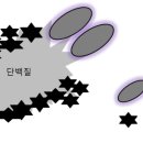 성대식품 이미지