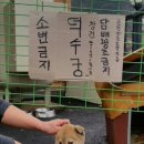 덕수궁 애 이미지