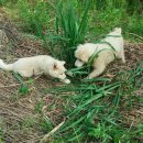 기특이네 농장 이미지