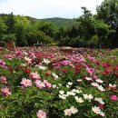 함박공원 이미지