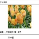 브라이트잼 이미지