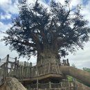 하계어린이공원 이미지