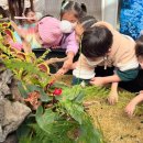 미래자연유치원 이미지