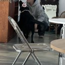 베스티멍 이미지