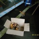 좌천시장 이미지