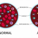 메디웰주식회사 이미지