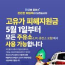 영도건강약국 | 부산 민생지원금 신청 총정리｜부산 동백전 신청방법·지원금액·건강보험료 기준 한눈에