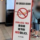 (주)알비노 | 돼지코 지렁이, 라스트페어 후기, 쥬낼름 방문 및 입양후기