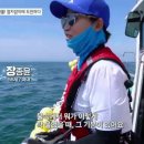 봉우리참치 이미지