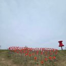 (주)평화누리 이미지