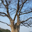 (주)선봉산업 이미지