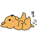 양주동물병원 이미지