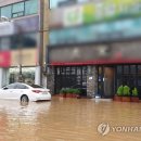 완도18호 이미지