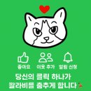 대지남사서비스(주) | 내돈내산 마운자로 후기:1주차