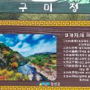구미정 이미지
