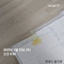 아산 반려견 교육센터 | 안녕 똑독아 김현수 훈련사님 방문훈련 후기!